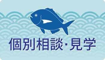 個別相談・見学